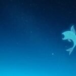Quem nasceu em fevereiro: descubra seu signo e características